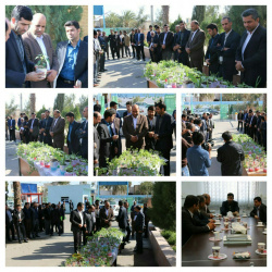 اهدا گل های رومیزی دانشگاه زابل به پرسنل ستاد مرکزی دانشگاه علوم پزشکی زابل